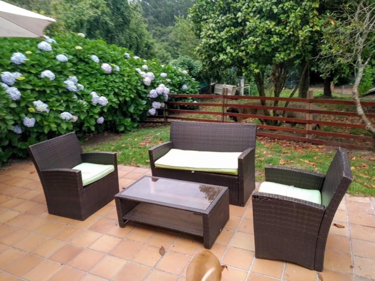 Anselma, Casa Compartida Homestay